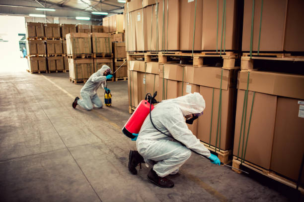 Best Bed Bug Extermination  in Mount Repose, OH