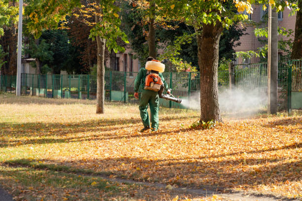 Best Pest Inspection Near Me  in Mount Repose, OH