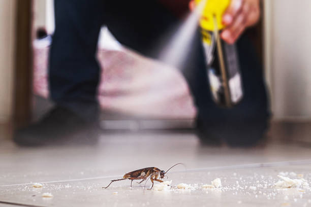 Best Pest Control for Restaurants  in Mount Repose, OH