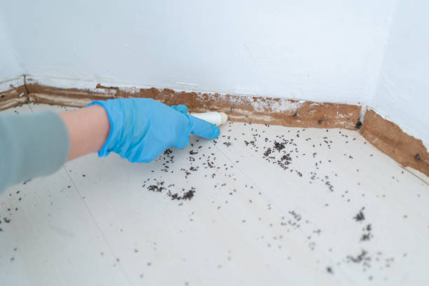 Best Residential Pest Control  in Mount Repose, OH